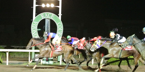 園田・姫路競馬場